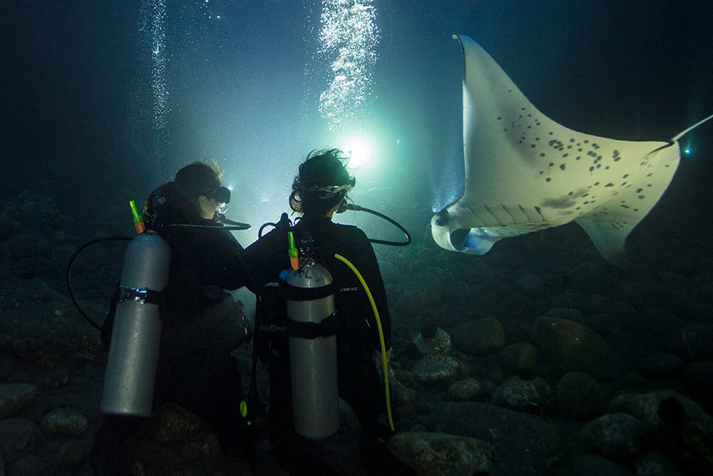 غواصی در شب