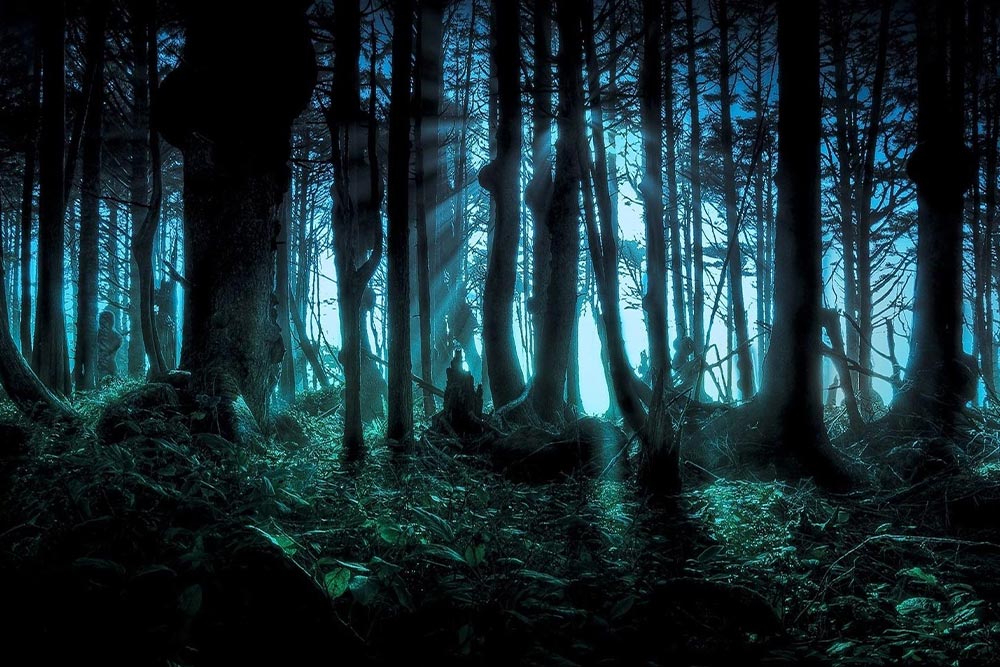 جنگل جیغ مشهد