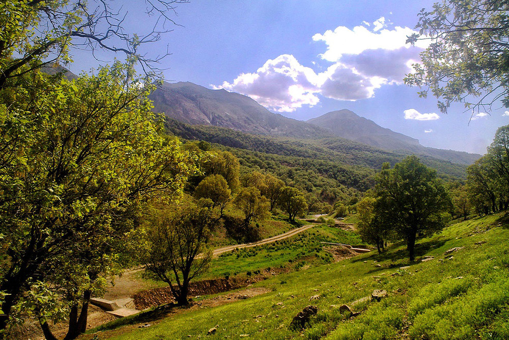 جنگل‌های بانه از جاهای دیدنی کردستان