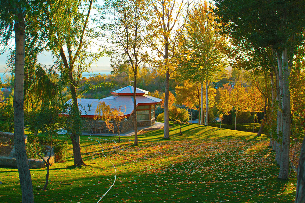 آداب و رسوم