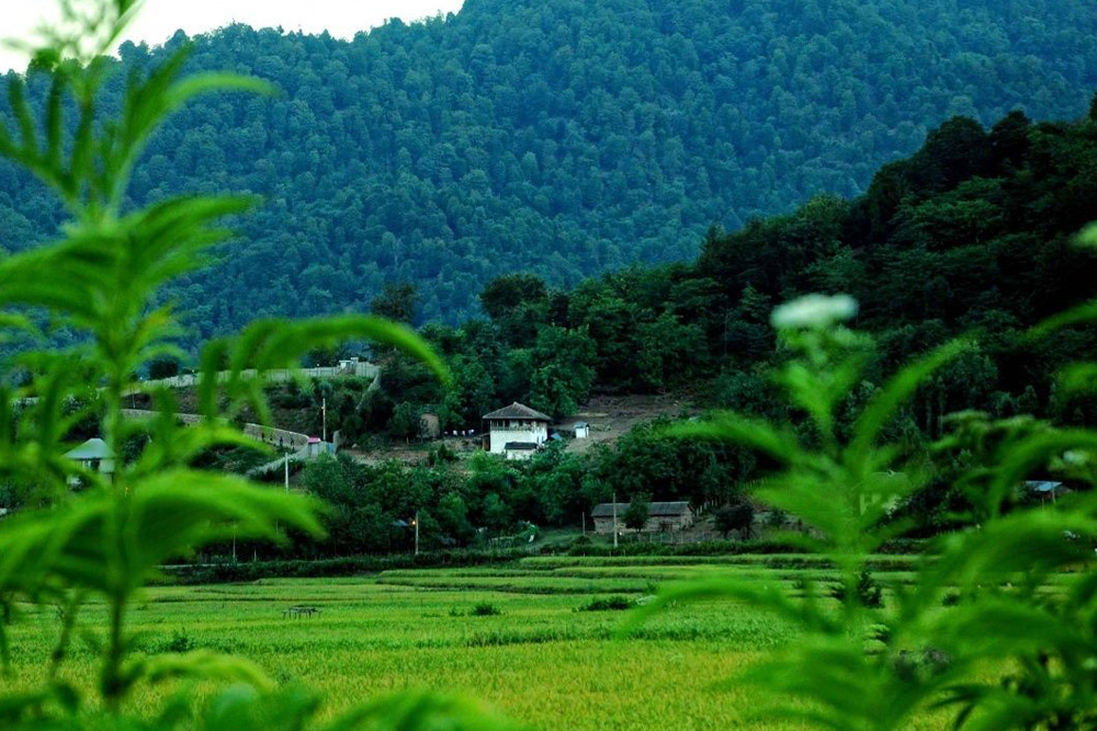 ییلاق کوربار  از جاهای دیدنی ماسوله