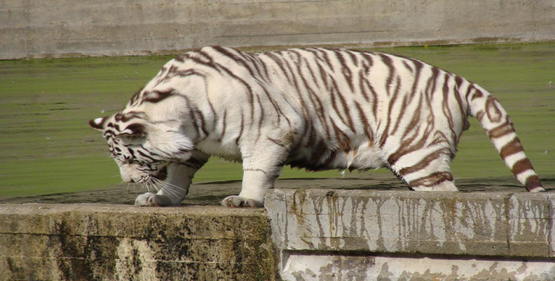 سفر به مادرید در پاییز