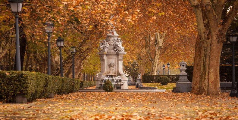 سفر به مادرید در پاییز