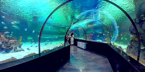 آکواریوم کیش