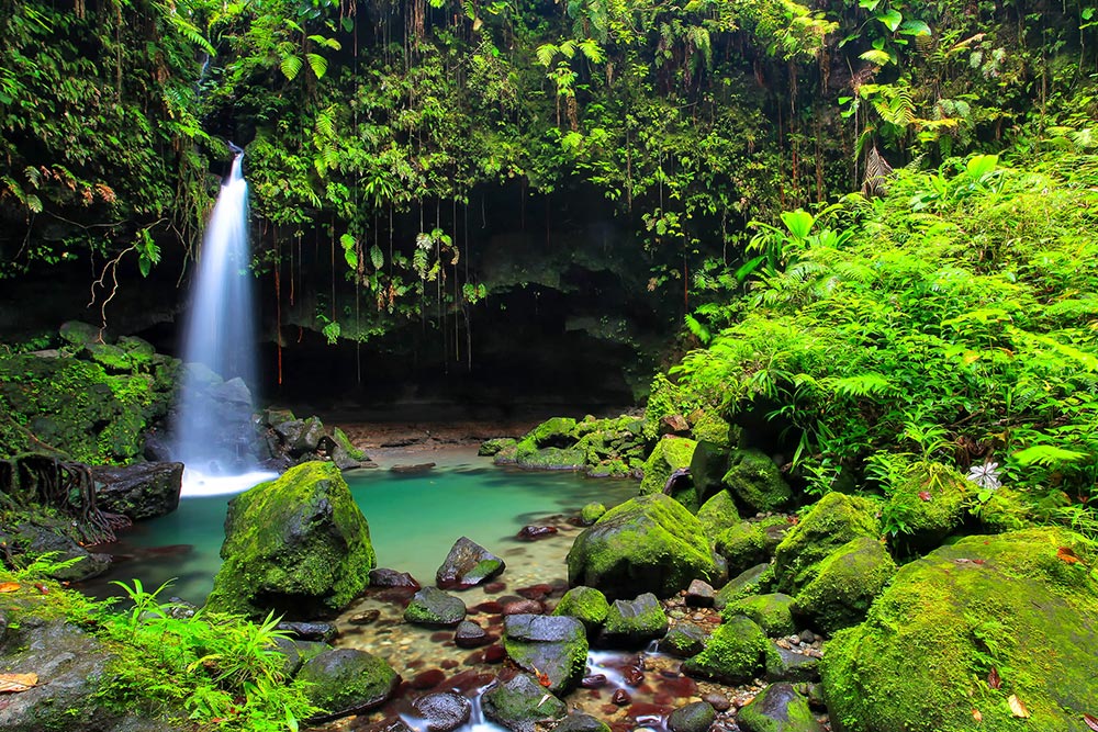 بهترین تفریحات دومینیکا