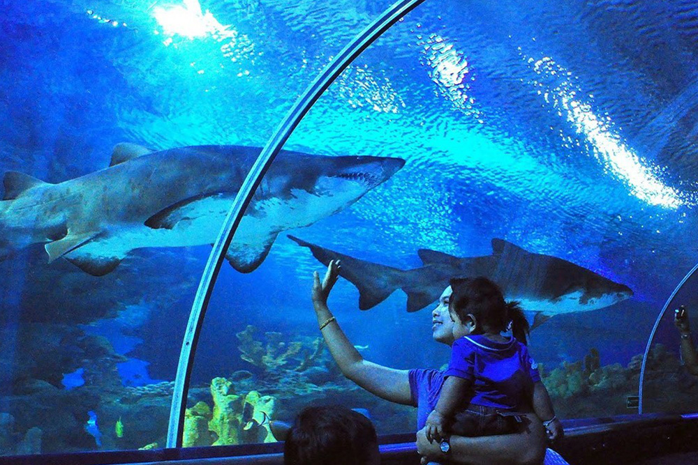 Aquaria KLCC