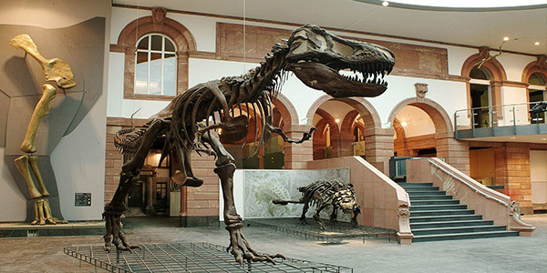 Frankfurt Archaeological Museum