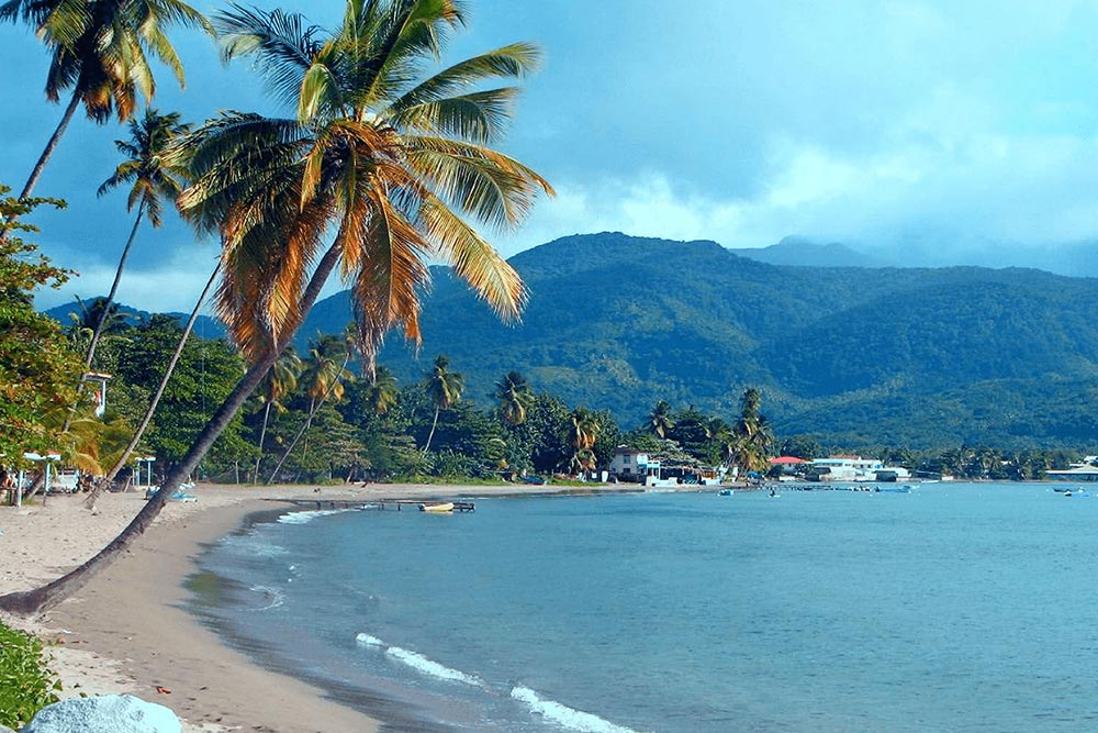 زبان رسمی و پول رایج دومینیکا