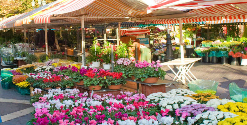 جاهای دیدنی نیس