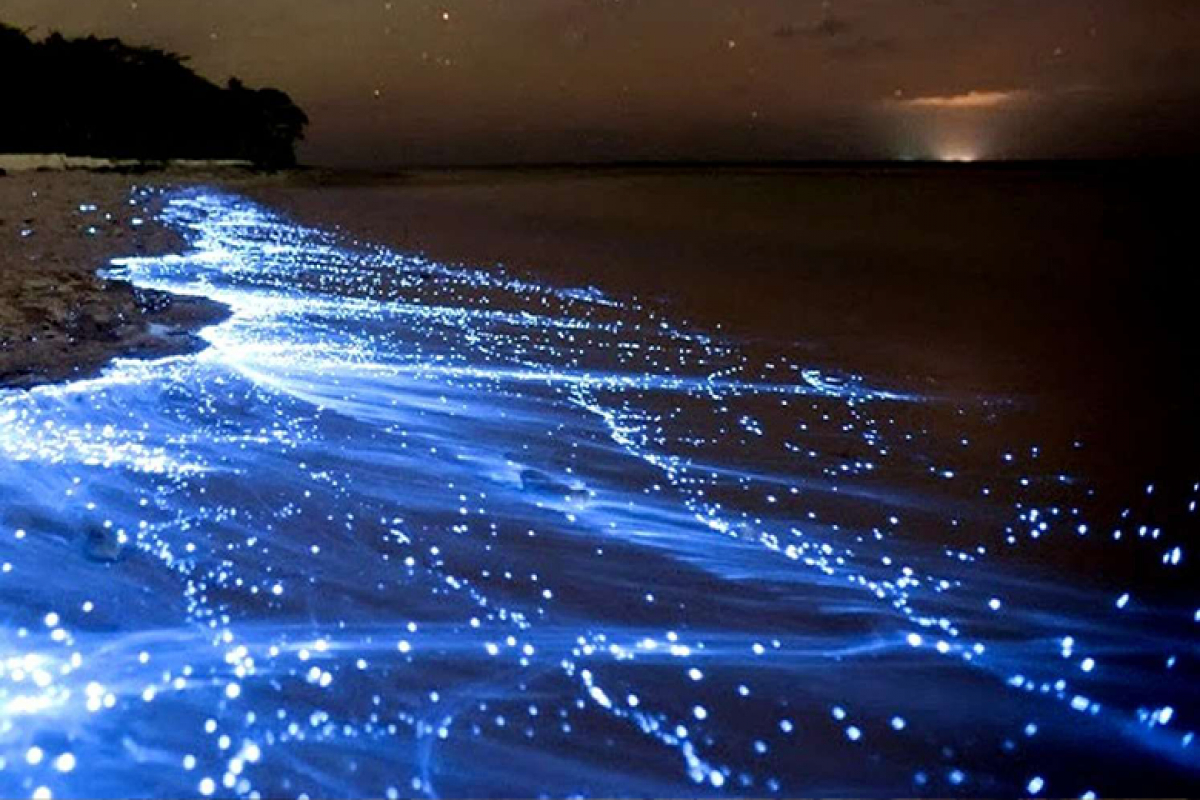 جاهای دیدنی قشم