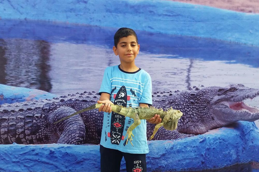 پارک کروکدیل ‌های قشم