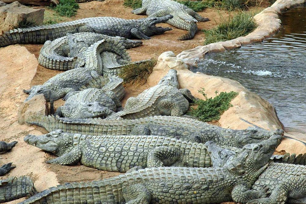 راهنمای سفر به قشم