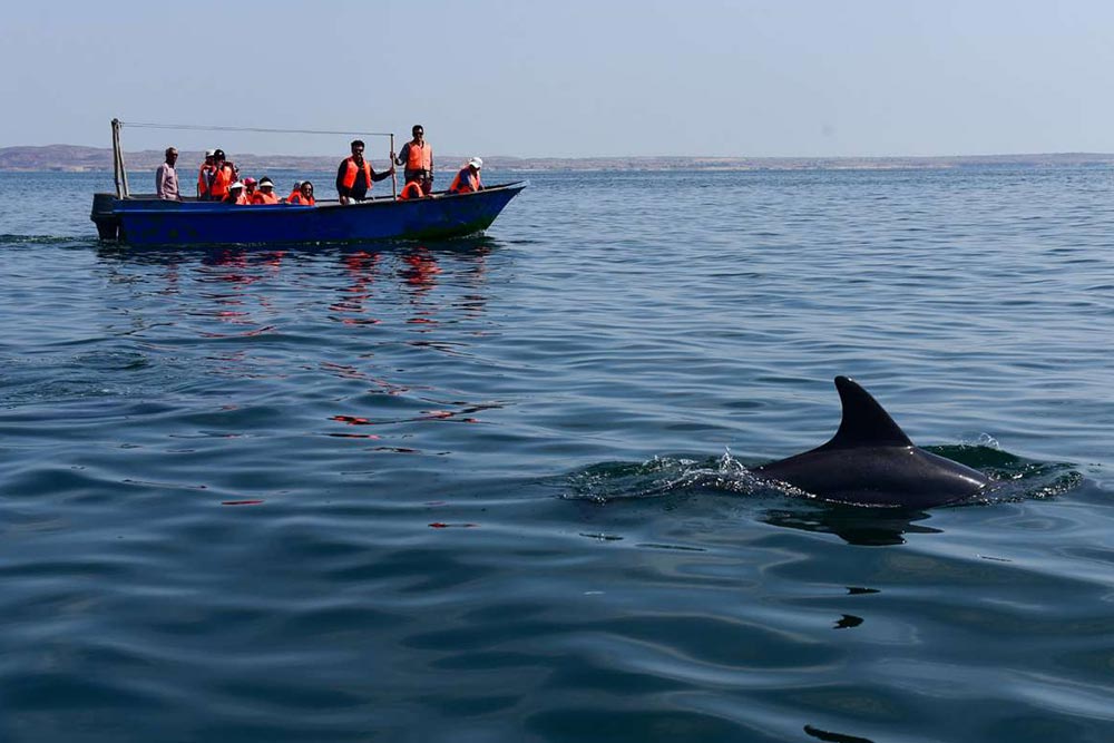 جزیره هنگام در سفر چهار روزه به قشم