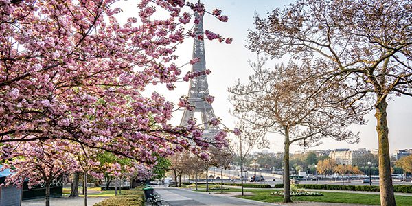 سفر به پاریس در بهار؛ از عید پاک تا شب های طولانی در موزه!