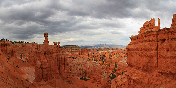 بهترین زمان سفر به جزیره قشم؛ برای شرکت در جشن و حراجی بازار!