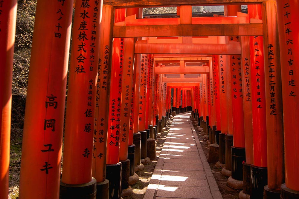 راهنمای سفر به کیوتو