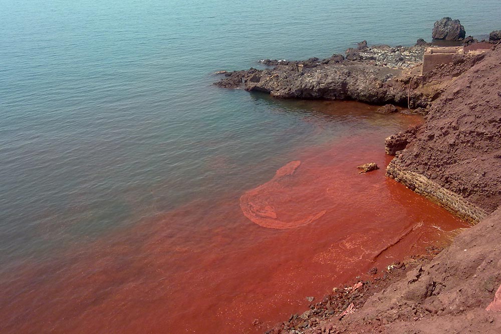 ساحل سرخ هرمز