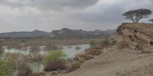 درباره سد گوران قشم در گذر تاریخ بخوانید!