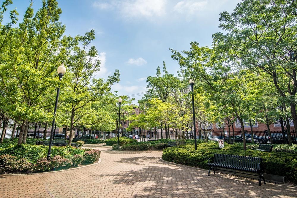 پارک فنرباغچه استانبول