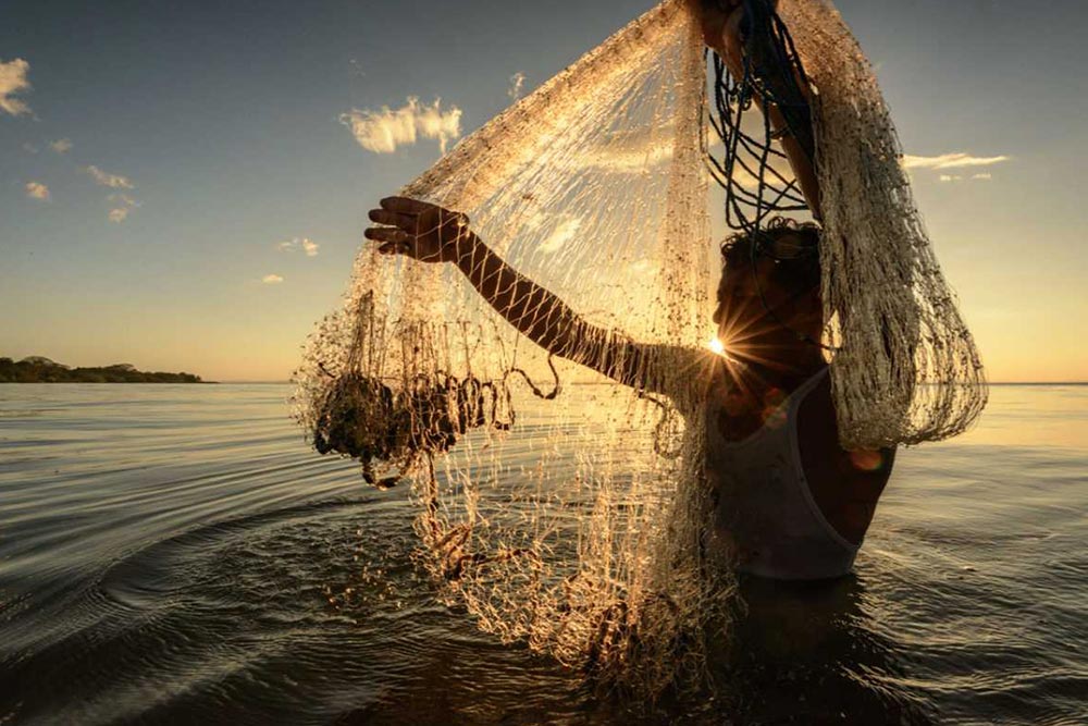 لوازم مورد نیاز