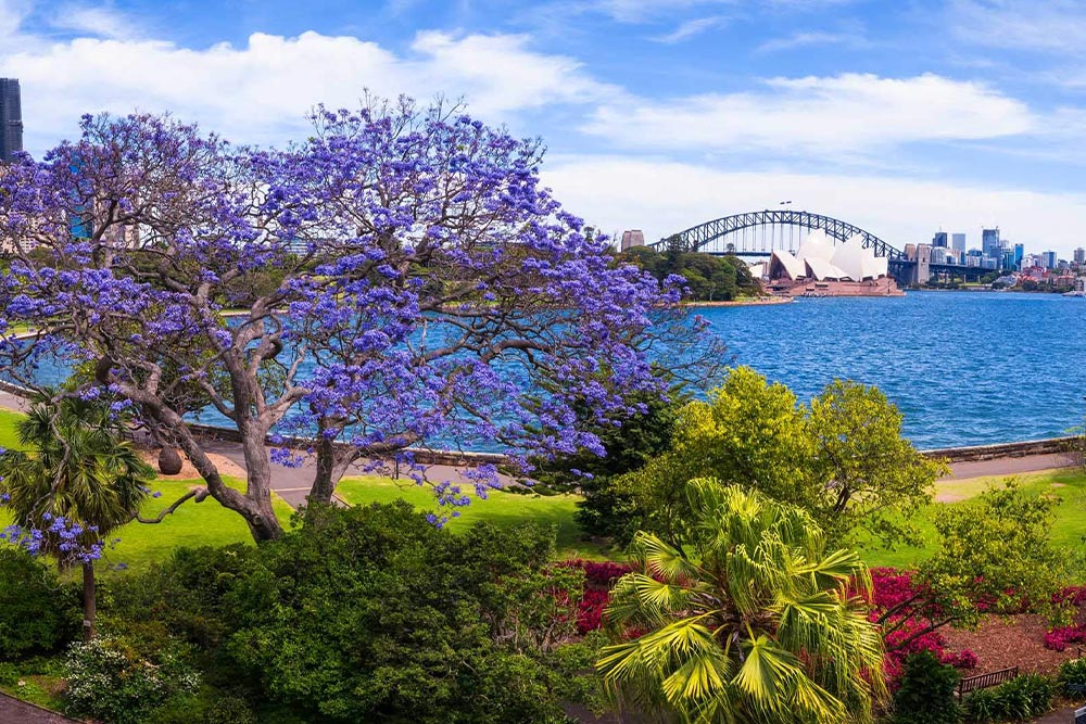 باغ گیاهشناسی سلطنتی سیدنی