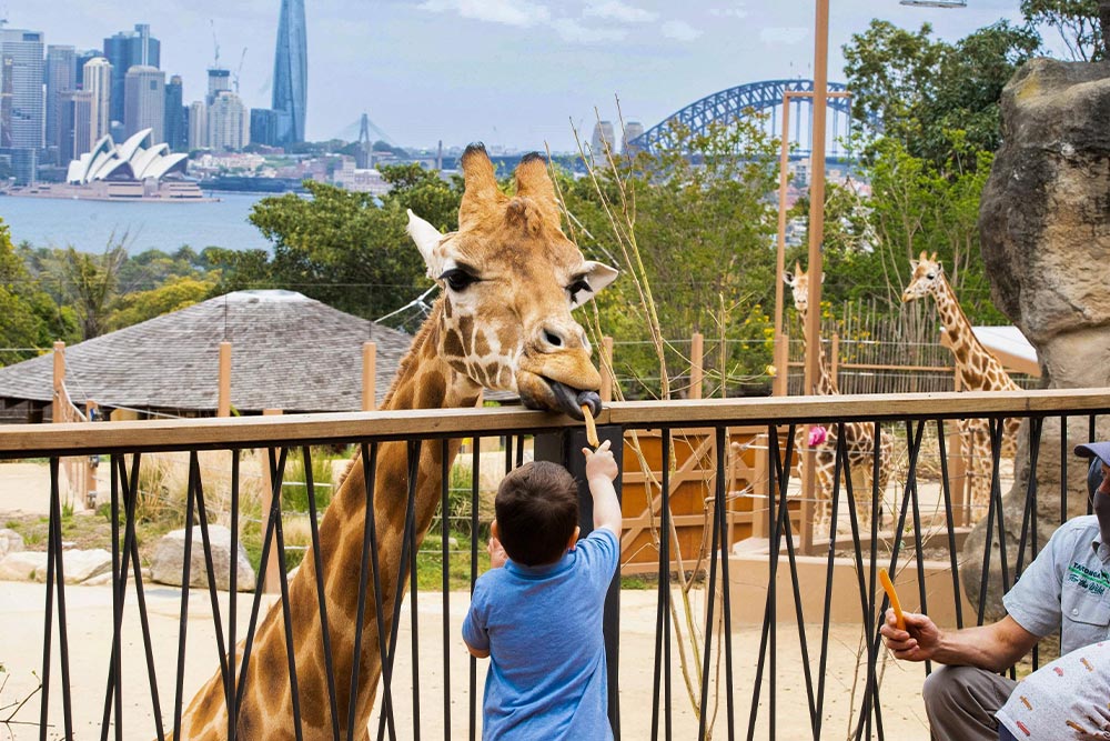 Taronga Zoo