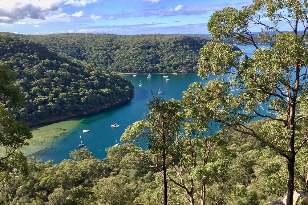 رصدخانه های سیدنی 