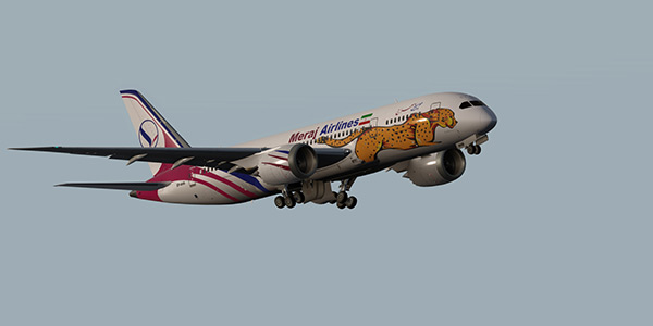 ایرلاین معراج