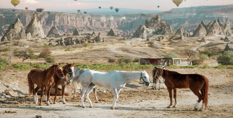 اسب سواری و پیاده‌روی در کاپادوکیا