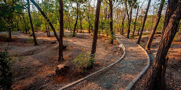 پارک جنگلی چیتگر