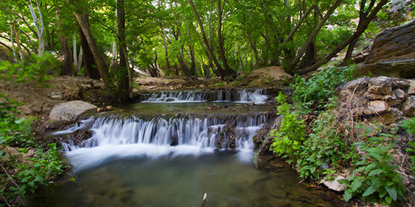 سفر به شیراز در تابستان +5 جای بکر و خوش آب و هوا!