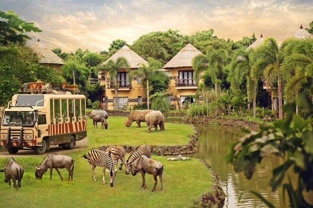 Bali Safari