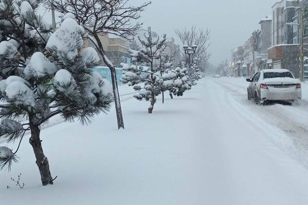 مشهد در زمستان