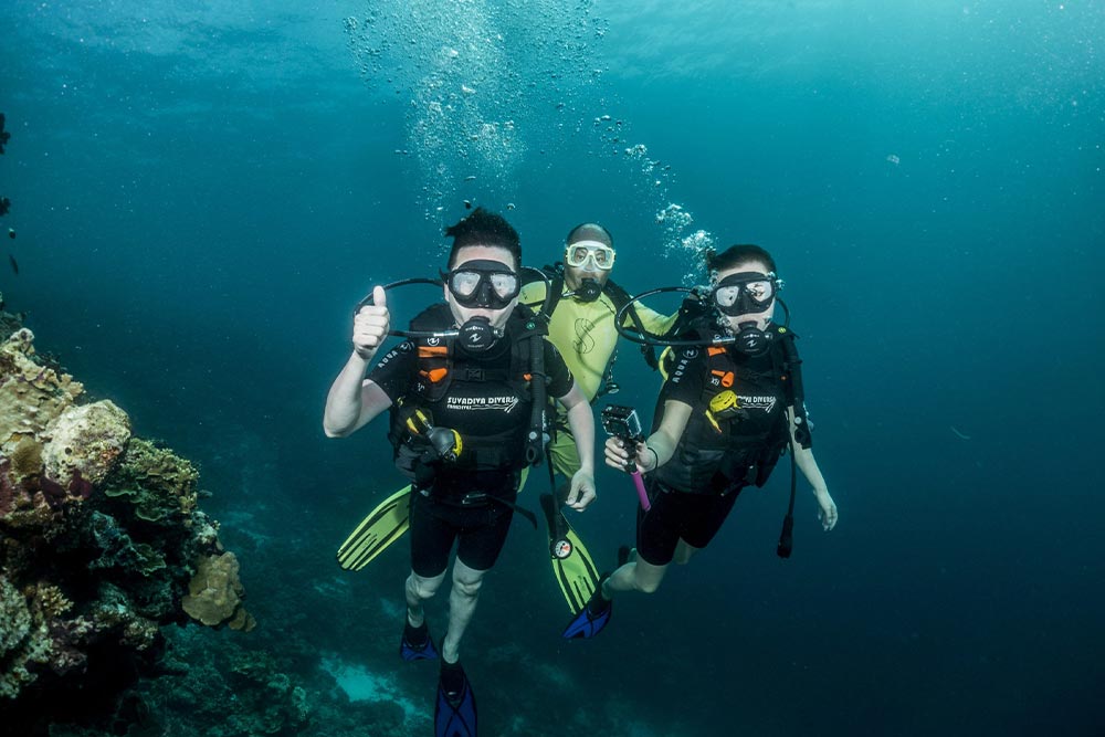 Diving in the Maldives