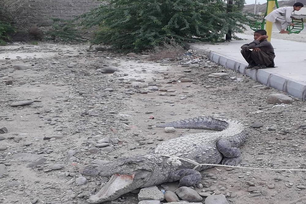 روستای باهوکلات