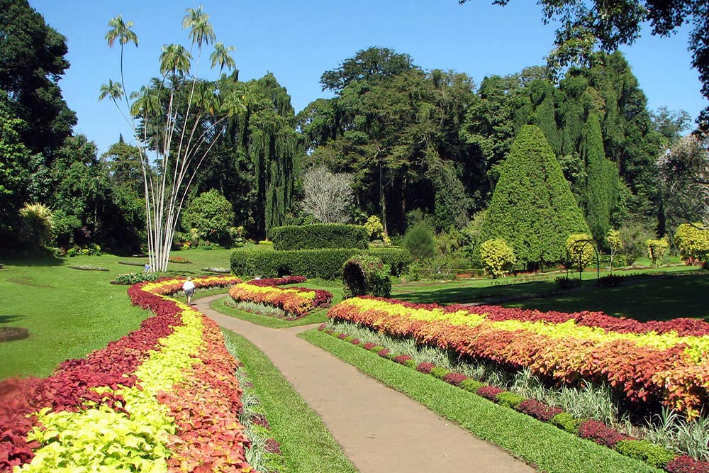 باغ گیاه‌شناسی چابهار در پاییز