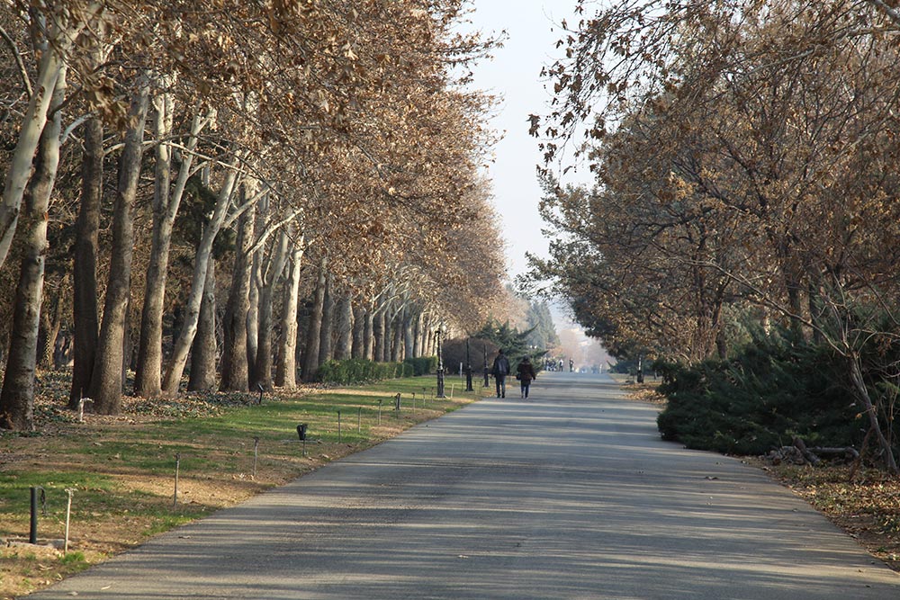 باغ گیاه شناسی ملی ایران