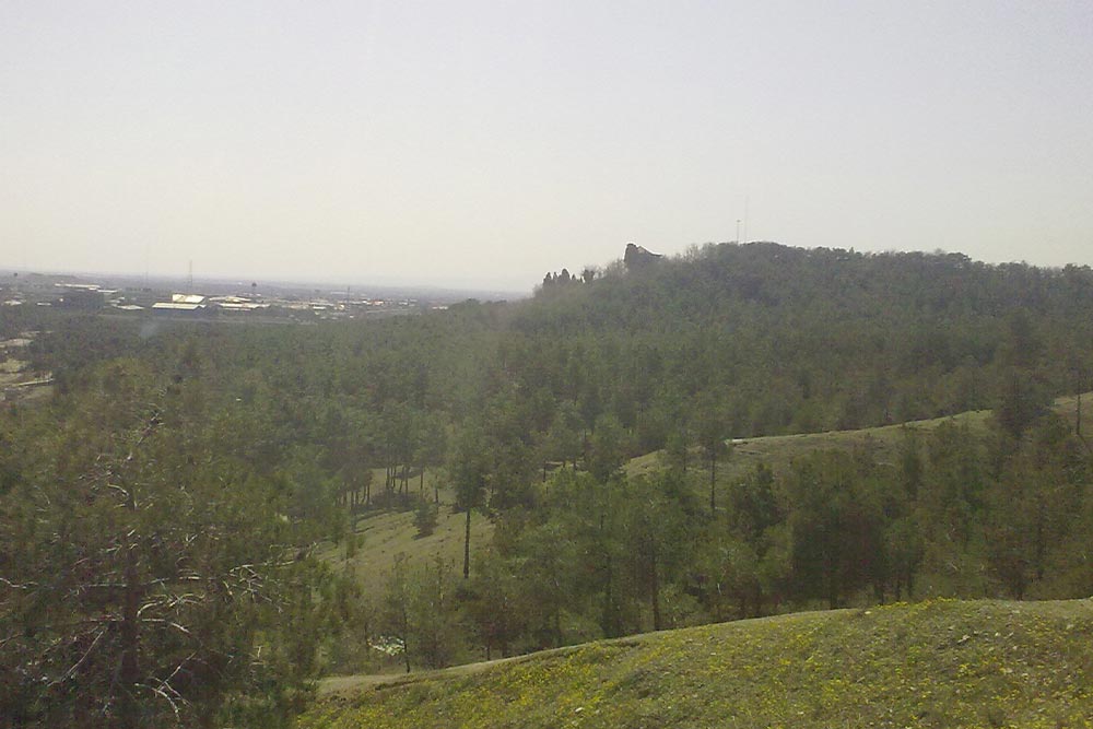 پارک جنگلی چیتگر