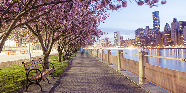 23 کار که در سفر به نیویورک در بهار باید انجام دهید!