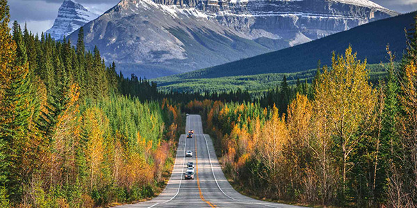 The icefields parkway
