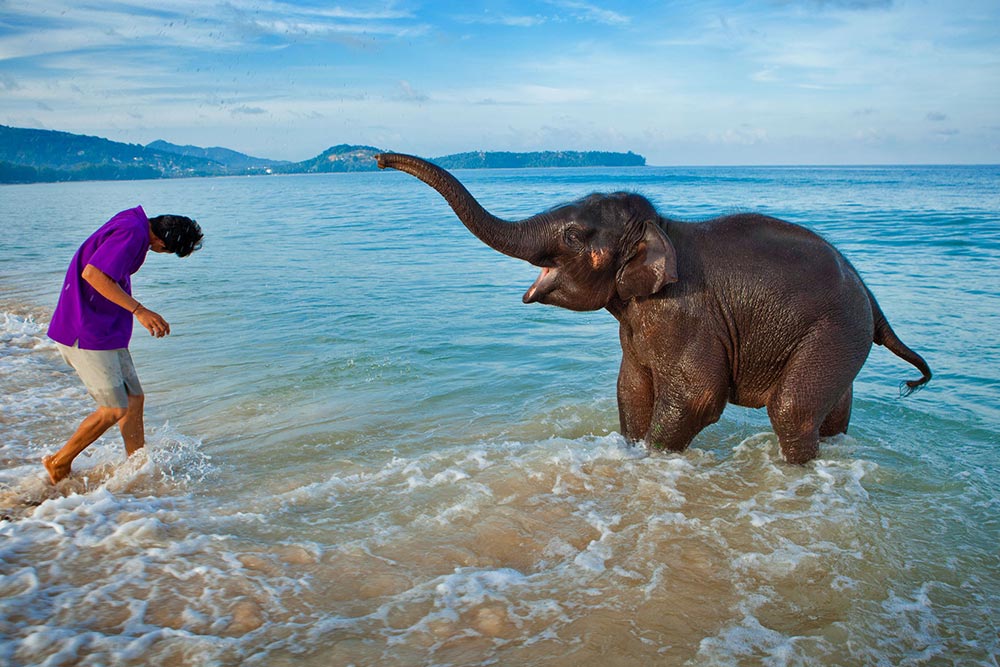 سفر انفرادی به پوکت 