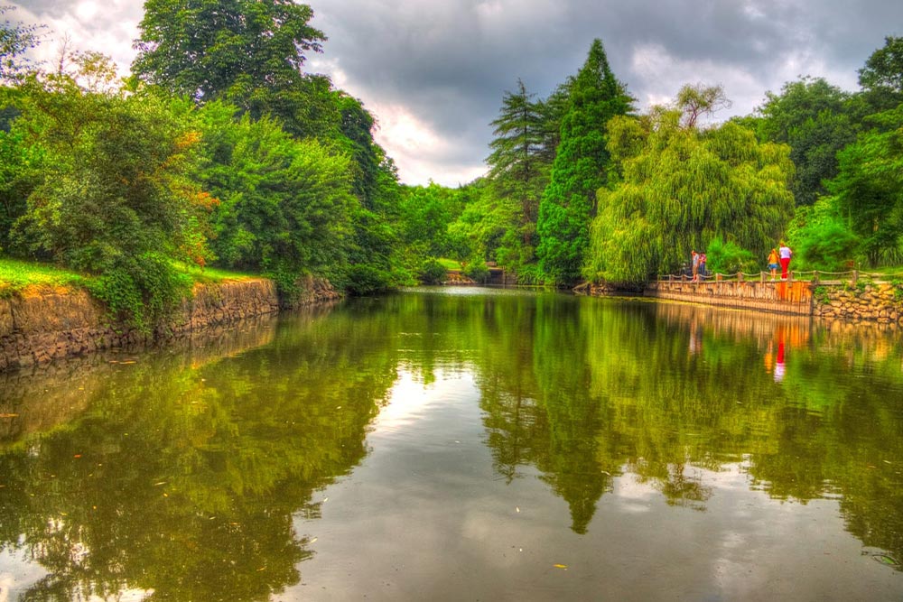 جنگل بلگراد استانبول