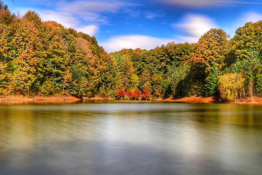 جنگل بلگراد استانبول