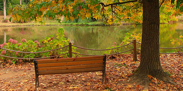 Ataturk Arboretum in Belgrade Forest, Istanbul