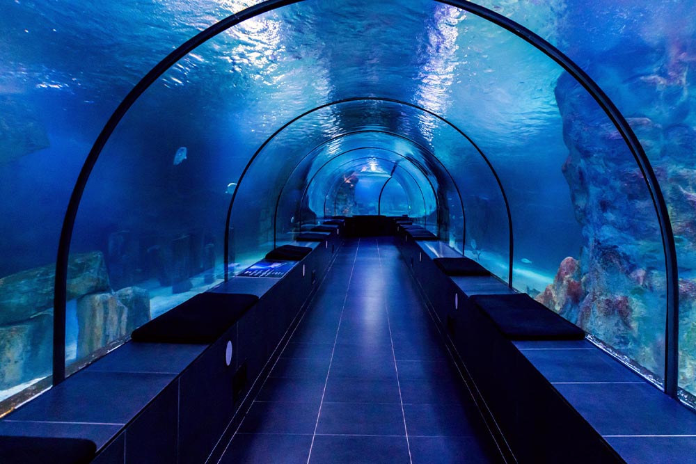 جاهای دیدنی استانبول برای کودکان