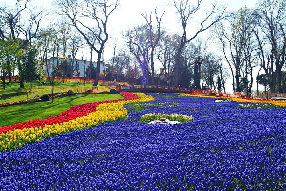 پارک امیرگان استانبول