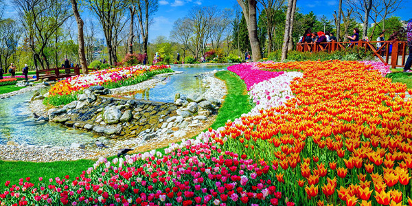 Amirgan Park, Istanbul