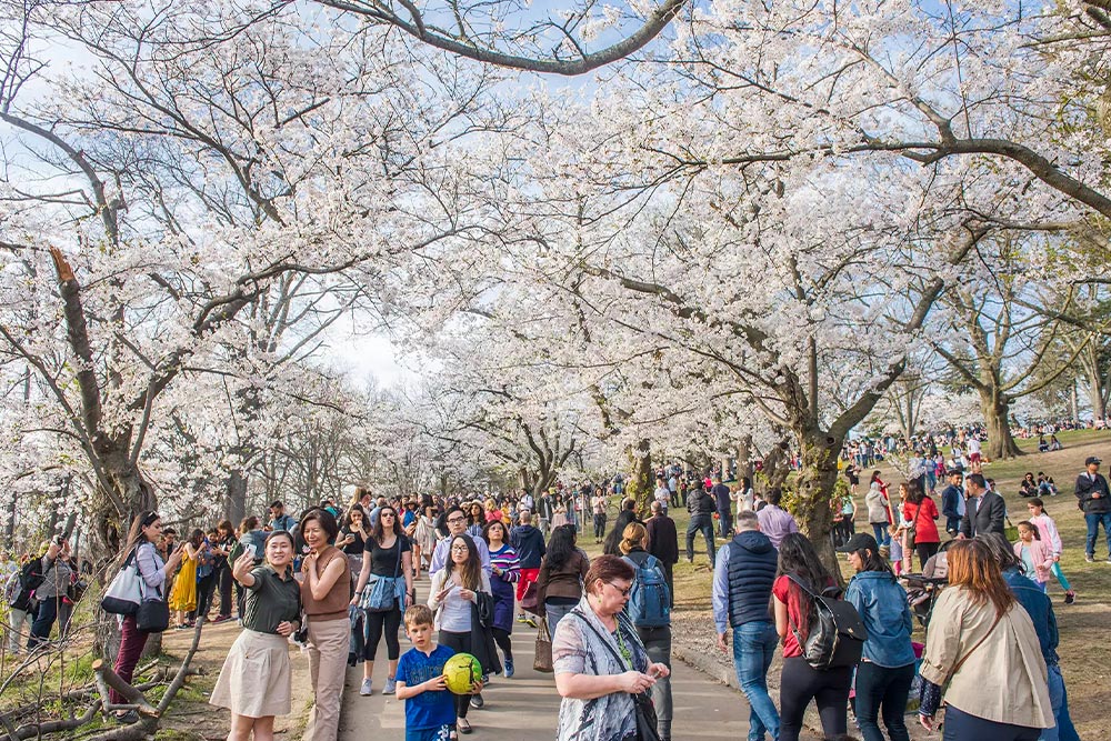 Toronto in the spring
