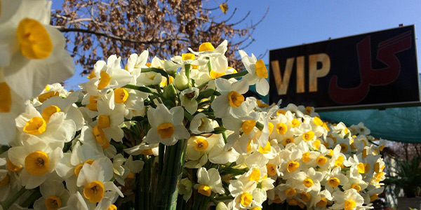 باغ گل ارمغان