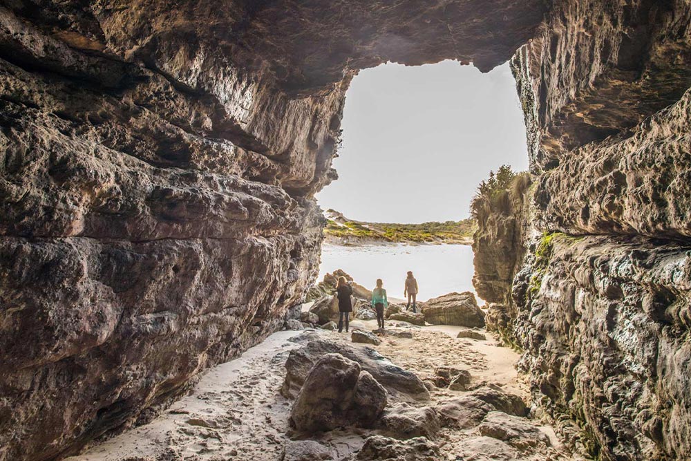 کوه‌ های آبی سیدنی